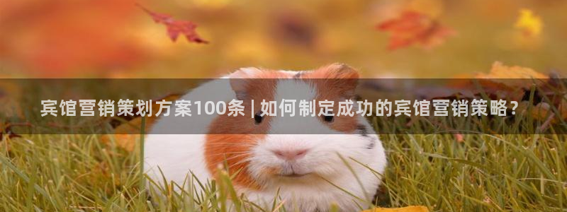 必赢官网入口下载app