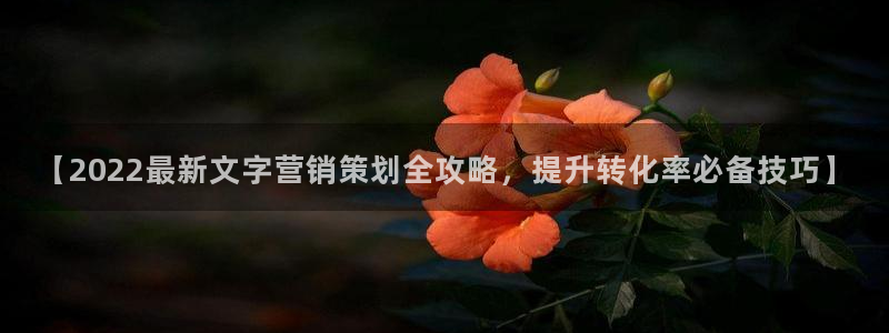 必赢下载地址