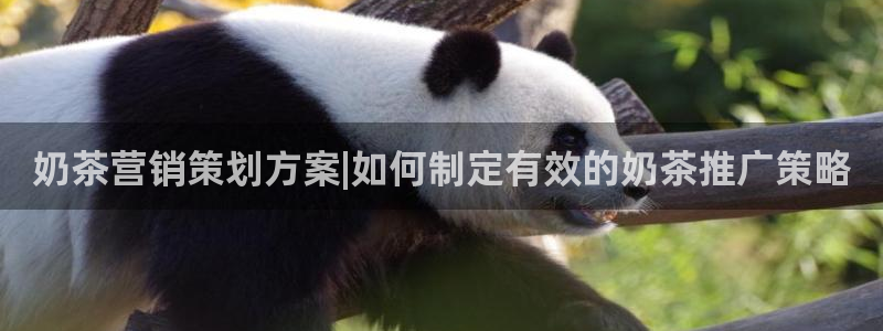 必赢手机app下载最新版安卓苹果