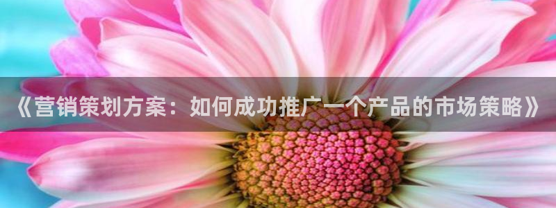 必赢国际437a