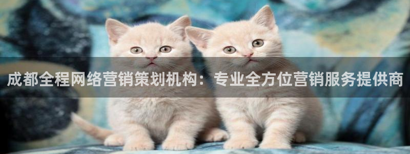 必赢这个平台怎么样可靠吗
