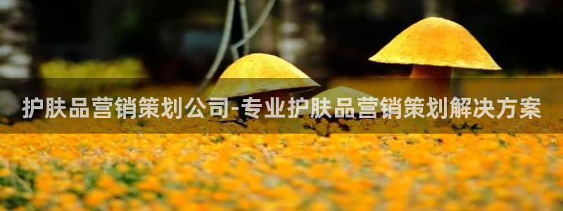 必赢亚赢网站官网下载安装手机版