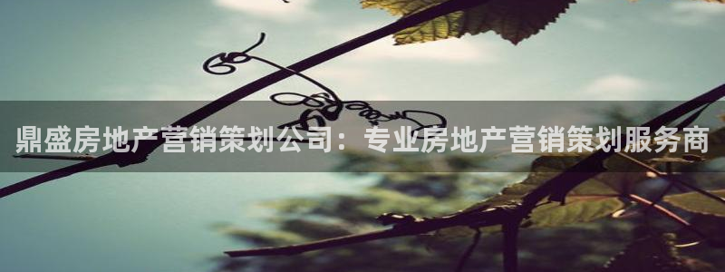 必赢官网入口下载app