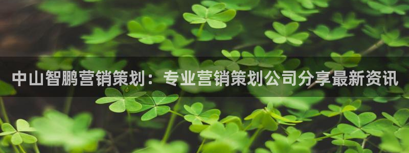 必赢亚赢网站官网下载安装手机版