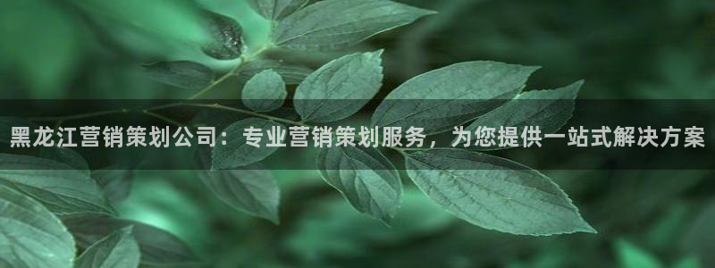 必赢下载