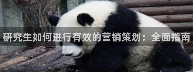 必赢集团网站是什么