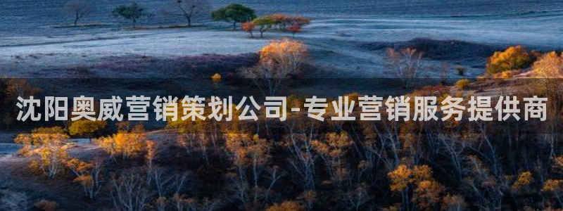 必赢亚赢网站官网下载安装最新版