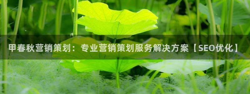 必赢网址手机主页在哪
