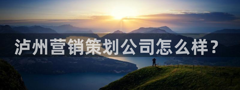 必赢最新