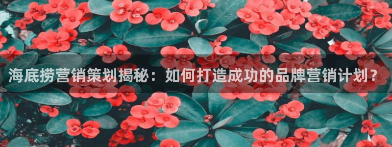 必赢官网下载安装app