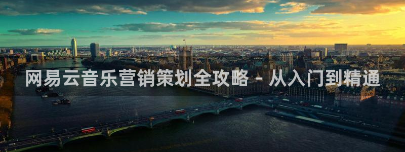 必赢公司是怎样的一家企业