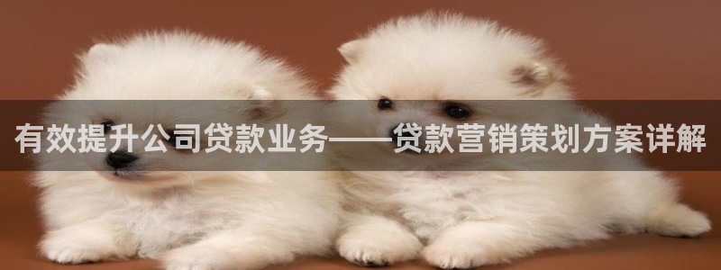 必赢集团怎么样