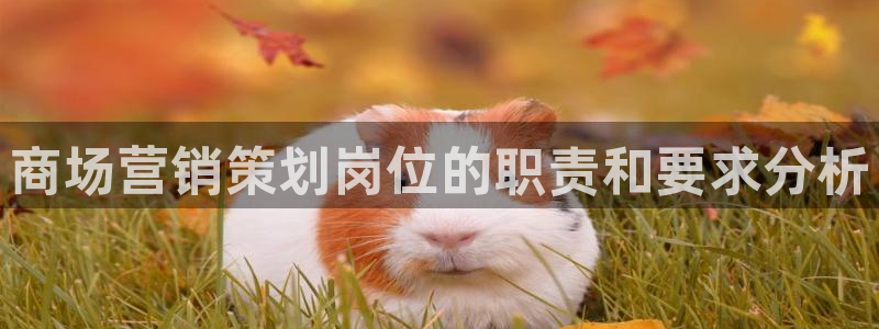 必赢下载安卓版下载