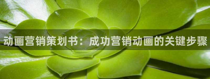 95必赢网址多少