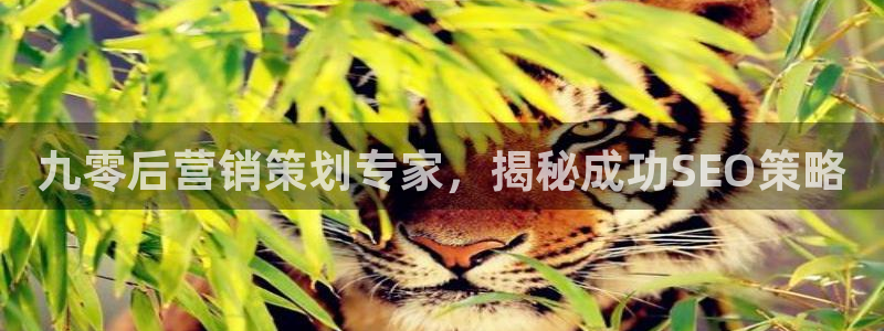 必赢官网网址多少号