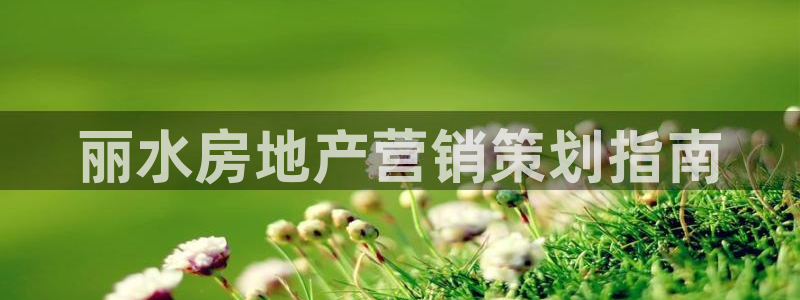 必赢公司
