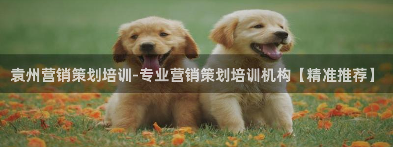 必赢88