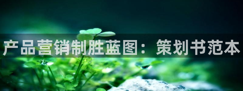 必赢手机版官网
