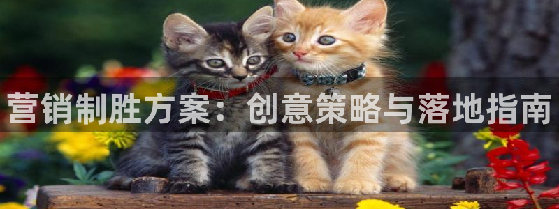 9965必赢棋官方网站怎么样