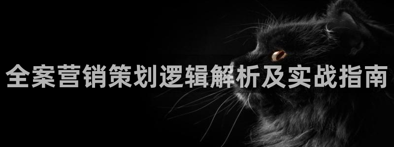必赢bwinapp