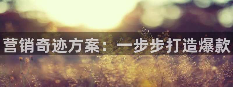 必赢565net官网网站