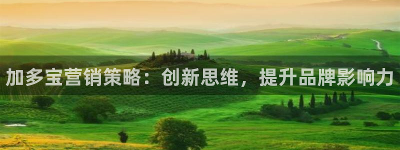 必赢qp