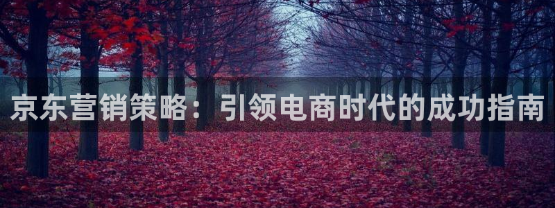必赢官网app下载苹果手机