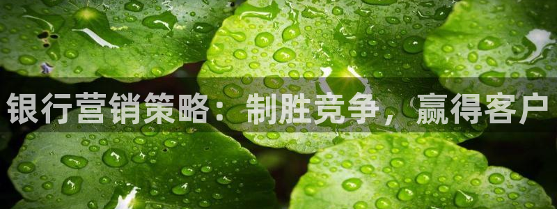 必赢集团网站是什么