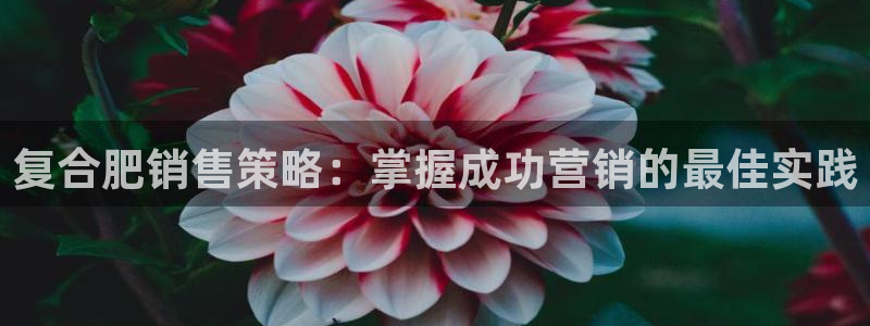 必赢官网app下载安装最新版本