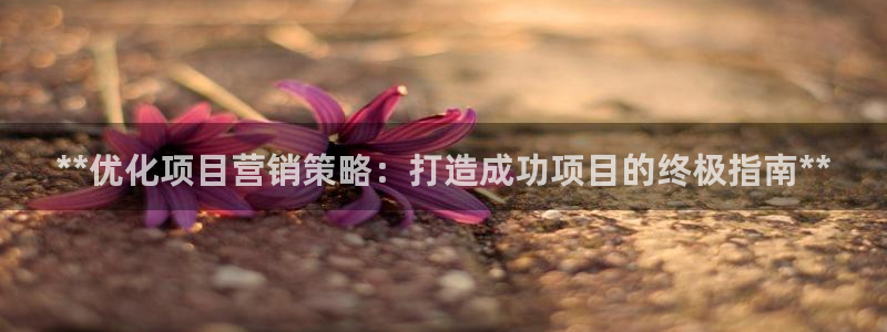 必赢棋盘app下载官网