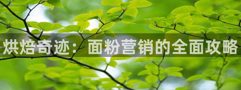 必赢.apk