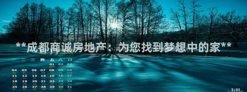 必赢下载
