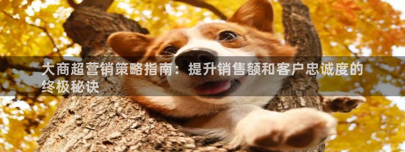 必赢手机app下载