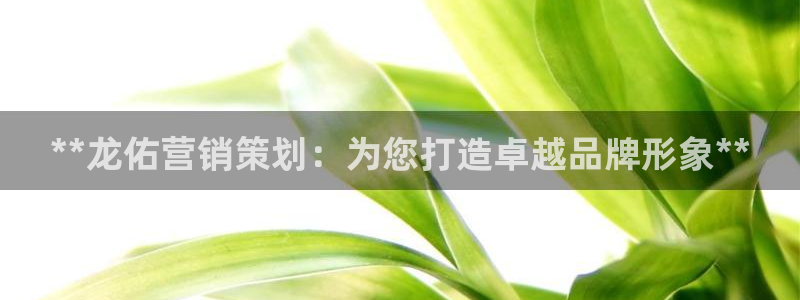 必赢3003手机网页版