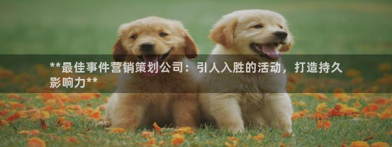 必赢平台网站多少