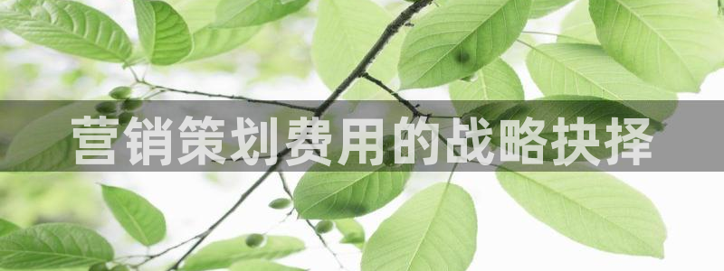 必赢棋盘9965.0版本