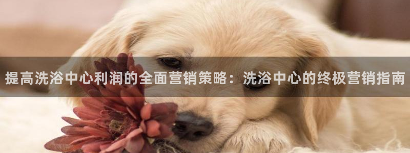 9965必赢游戏app