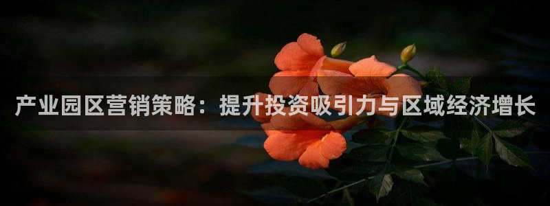 必赢网址手机主页怎么设置