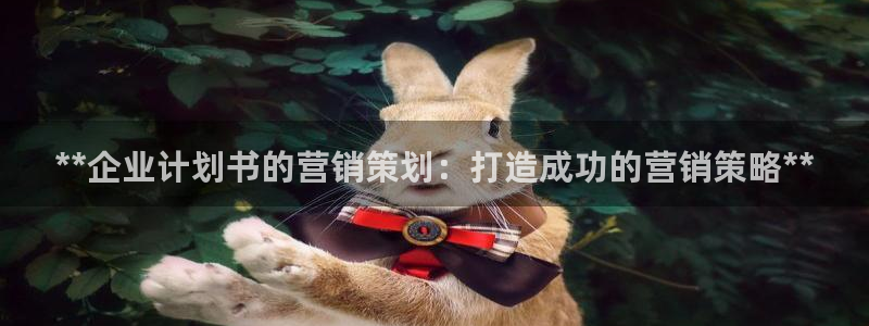 9965必赢棋官方网站怎么样
