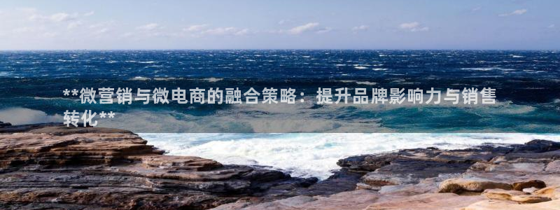 必赢科技有限公司