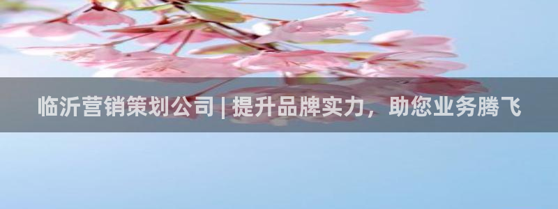 必赢官网app下载