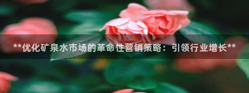 必赢下载软件
