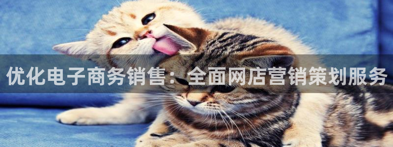 必赢亚赢网站官网下载