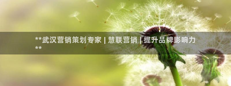 必赢必赢