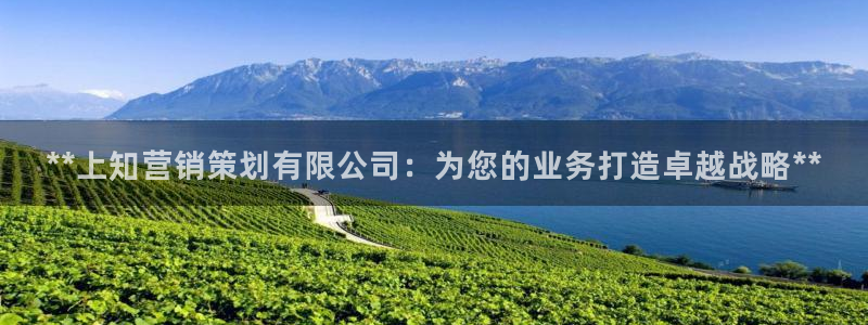 必赢官网入口下载安装