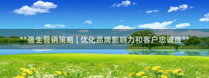必赢网站是哪一个