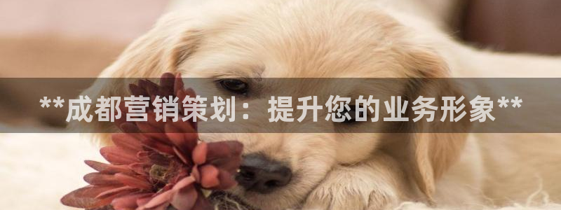 必赢766