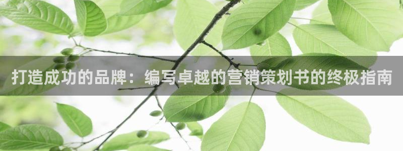 必赢下载安卓版官网