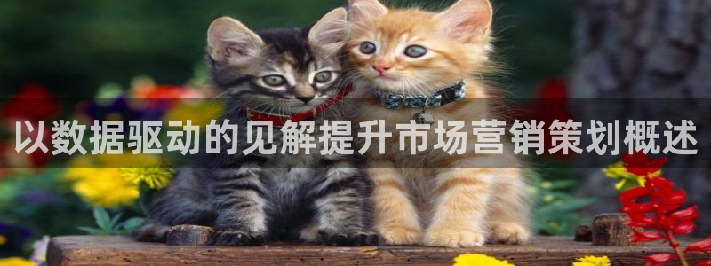 必赢公司