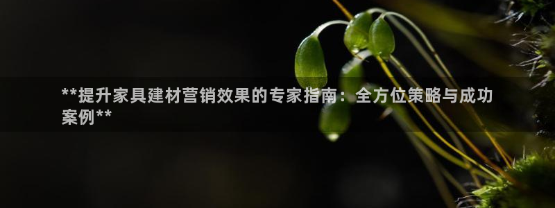 必赢集团winex